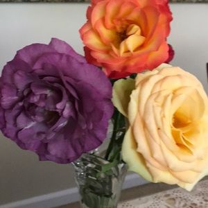 Meet your Posher, Pete